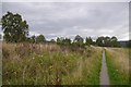 Deeside way path near Boghead in AB34 5LA