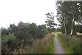 Railway trackbed between Dinnet and Aboyne in AB34 5PP