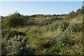 Dunes in Birkdale Hills in Duke's Ward
