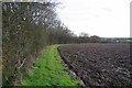 Field Margin Beside Coleman's Farm Lane in CM5 9PT