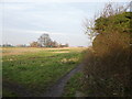 Footpath to Ham Marshes in ME13 7FR