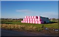 Bales beside York Road in YO23 3PR