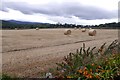 Round bales, Kincardine O' Neil in AB34 5AX