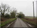 Country lane near Anstey in SG9 0DL