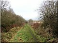 Path down to Rainton Meadows in DH5 9SF