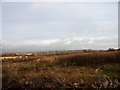 Uncultivated field beside the path to Rainton Meadows in DH5 8NJ
