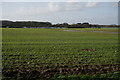 Former Apuldram Aerodrome in Appledram