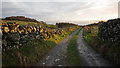 Cairnholy farm access track in DG8 7EA