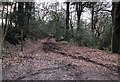 Track to Bognor Common in RH20 1JR