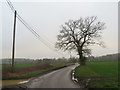 Country lane near Meesden in Meesden