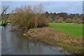River Stour from Ensbury Bridge in BH22 8EB