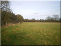 Field margin near Castle Hills Farm in B92 0DJ