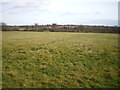 Ridge and Furrow in a field by Castle Hills Farm in B92 9EE