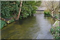 River Allen from Hanham Road bridge in BH21 2QL