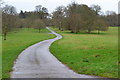 Estate road, Kingston Lacy in Pamphill