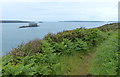 Pembrokeshire Coast Path at South Hook Point in SA73 3RU