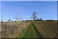 Bridleway climbing up to Tugby in LE7 9WD