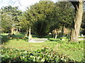 Churchyard at St Andrew's Farlington in PO6 1DX