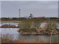 Seasonal Lagoon, Fleetwood Marsh Nature Reserve in FY7 6NB