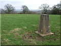 The trig above Penselwood in BA9 8LJ