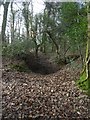 Excavation site (quarry?) in Burchetts Wood in TQ11 0HL