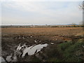 Muddy field off Little Casterton Road in PE9 2NN
