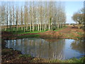 Pond by Windmill Hill in BS40 5EF