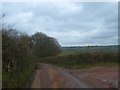 Looking towards Elmore's Coppice from entrance to Wolland Farm in EX17 4JU