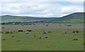 Gors Fawr Stone Circle in Mynachlogddu Community