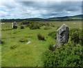 Standing stones at Gors Fawr in Mynachlogddu Community