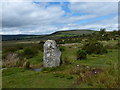 Standing stone at Gors Fawr in Mynachlogddu Community