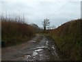 Track to Higher and Lower Yeadbury farms in EX16 8LH