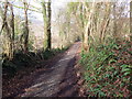 Hen heol i'r Creunant / Old road to Crynant in SA10 8HT
