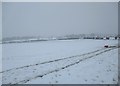 Snowy field near Whiteshawgate, Strathaven in ML10 6SY