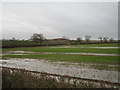 Wet field and Hills Farm in NG12 3FF