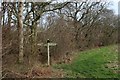 Fingerpost at the Bottom of Heth Woods in DT11 8JT