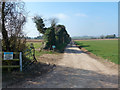 Private track off Privet Lane in SP11 8EJ