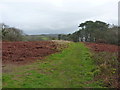 Footpath in a field above Amroth beach in SA67 8NA