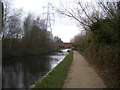 Walsall Canal, Wednesbury (2) in WS10 7NF