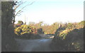 Narrow country lane leading towards Pen-y-gaer in LL53 7HY