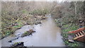 River Crane from the A4 bridge in TW5 9AY