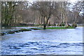 River Test overflowing between mill lades and main channel in SO51 0HP
