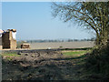 Farmland near East Grafton in SN8 3DN