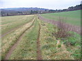 Footpath near Shalford in GU4 8AJ