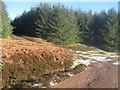 Track junction in Harecleugh Forest near Westruther in the Scottish Borders in TD3 6NJ