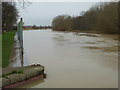 Pershore - a very full River Avon in WR10 3NS