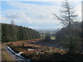 View to Harecleugh Forest exit near Westruther in the Scottish Borders in TD3 6NJ