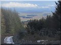 View from a crossroads in Harecleugh Forest in the Scottish Borders in TD3 6NJ