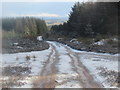 Crossroads in Harecleugh Forest near Westruther in the Scottish Borders in TD3 6NJ