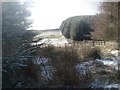 Open ground by Harecleugh Forest near Westruther in the Scottish Borders in TD3 6NJ